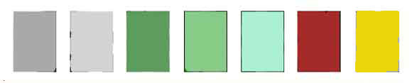 Elastic stretch belts in charcoal, light gray, hunter green, kelly green, mint, dark brown and khaki.