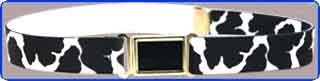 Black Pinto Belt/Magnetic Buckle